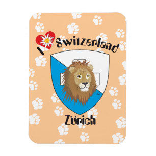 Ímã Zurique Suíça Switzerland íman