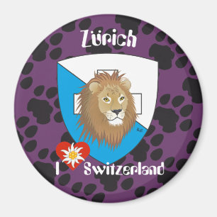Imã Zurique Suíça Switzerland íman