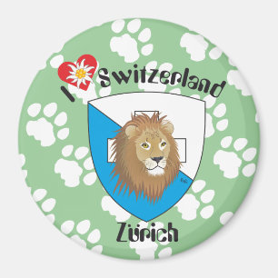 Imã Zurique Suíça Switzerland íman