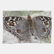 Imagem da borboleta da cinza - Toalha de chá da co
