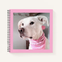 Imagem de Cachorro Branco-Bonito Vestindo Scarf Ro