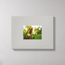 Imagem de Canvas do País de Bloqueio