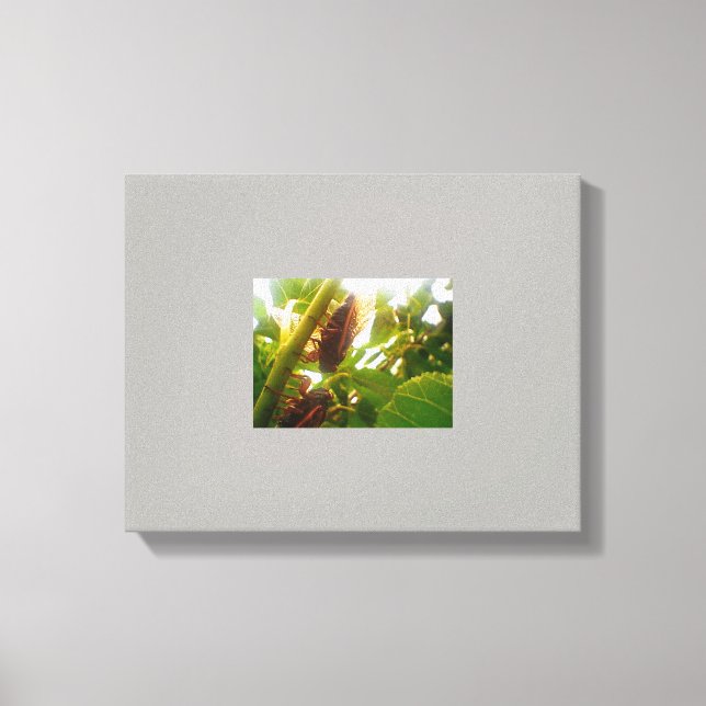 Imagem de Canvas do País de Bloqueio (Frente)