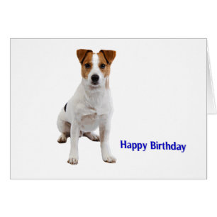 Imagem de cão para cartão de saudação de aniversár