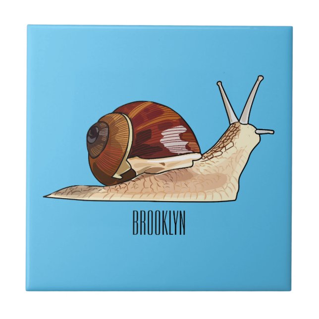 Imagem de desenho em caracol (Frente)