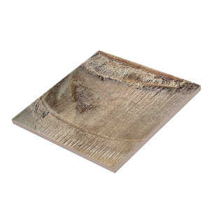 Imagem de Foto de Fechamento de Textura de Tronco