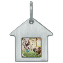 Imagem de Foto de Gato de Pet Dog Personalizada