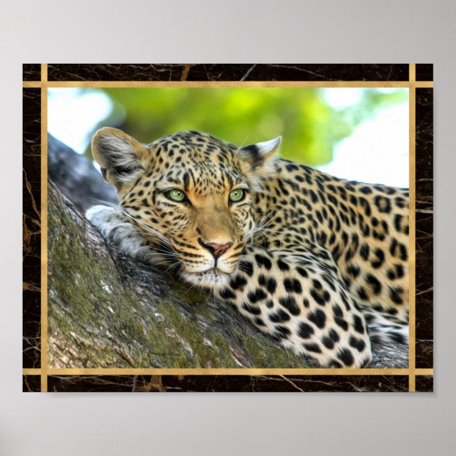 Imagem de Foto de Leopardo Impressa em Poster (Frente)