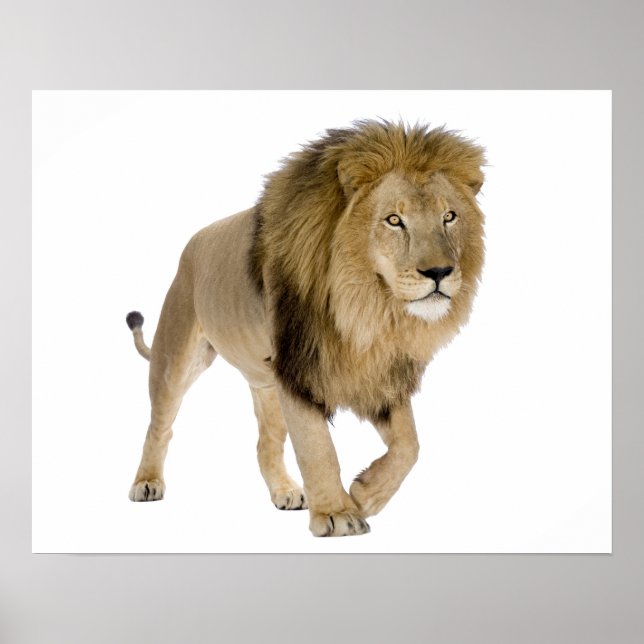 Imagem de loin para poster (Frente)