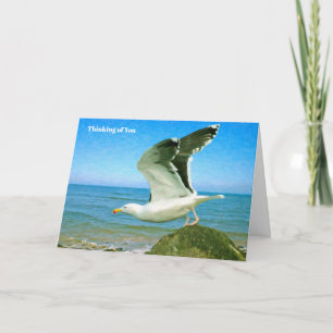 Imagem de pássaro para obter o cartão