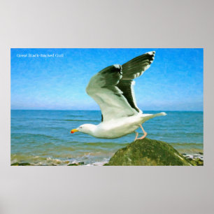 Imagem de pássaro para Poster