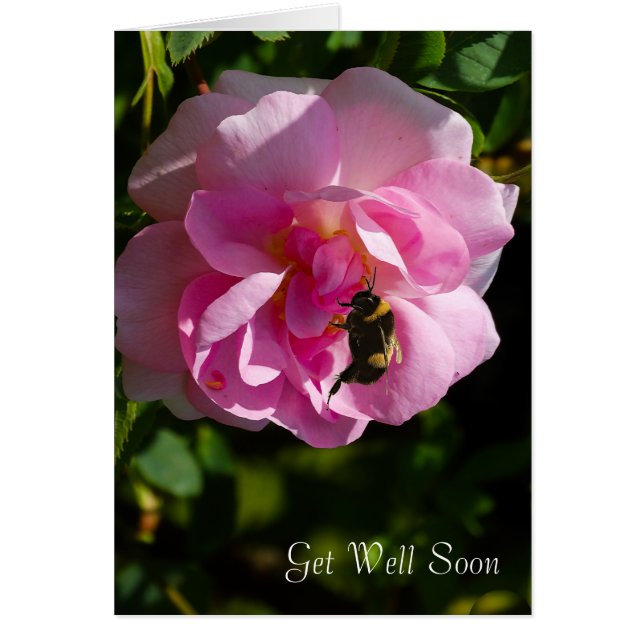 Imagem de rosa para o cartão Get-Good-greeting (Frente)