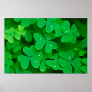 Imagem de Shamrock para poster