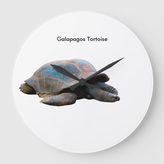 Imagem de tartaruga para relógio de parede redonda (Frente)