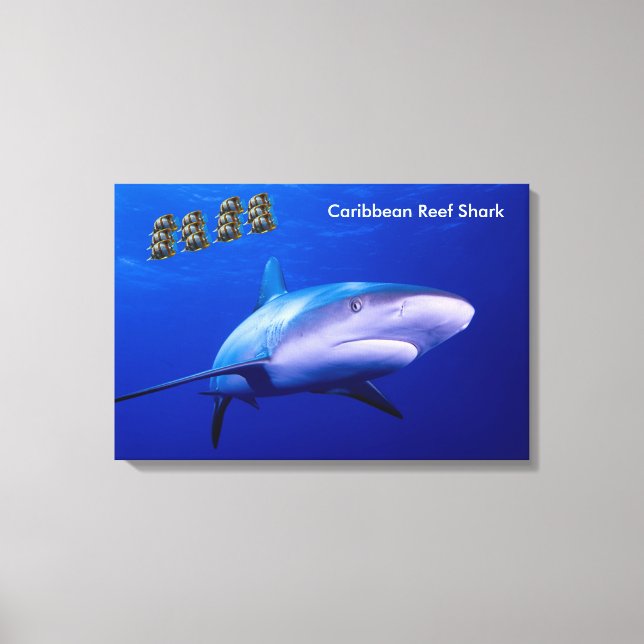 Imagem de tubarão para canvas embrulhada (Frente)