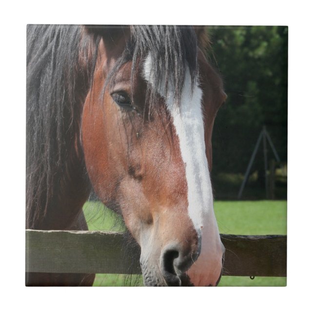 Imagem de um azulejo ou de um Trivet de um quarto (Frente)