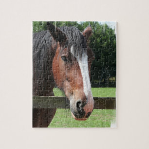 Imagem de um quebra-cabeça de um quarto do cavalo