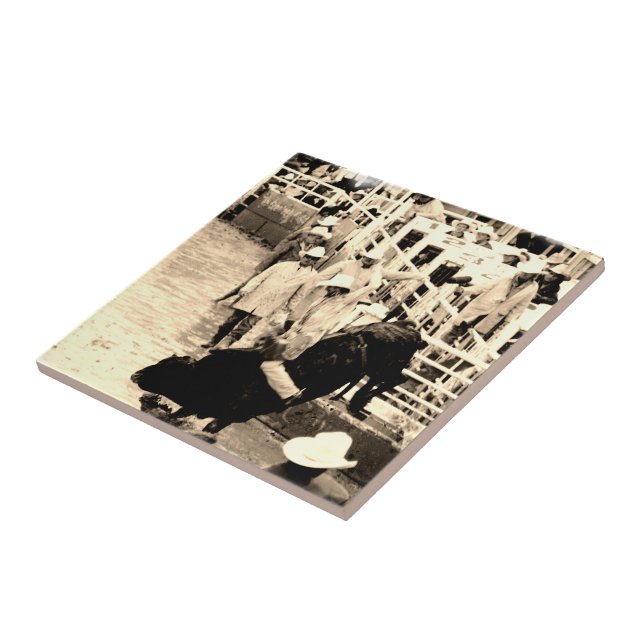 Imagem do Cavaleiro de Balas Bull Rodeo (Lateral)