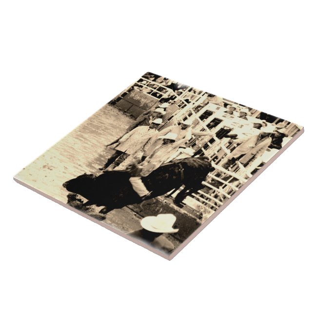 Imagem do Cavaleiro de Balas Bull Rodeo (Lateral)