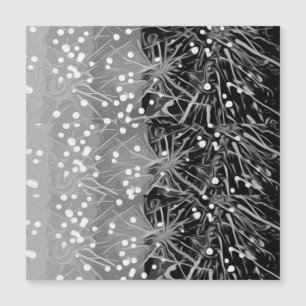 Imagem do Fashion Fireworks