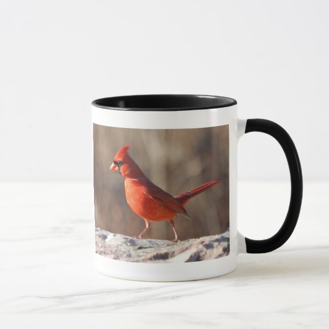 Imagem e informação cardinais do norte - caneca (Direita)