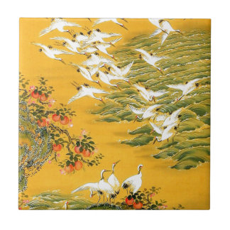 Imagem japonesa das cegonhas