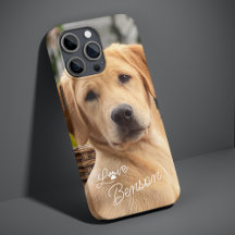 Imagem Moderna da Melhor Amiga com Cachorro e Pega