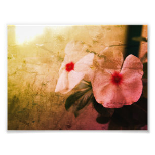Imagem Retro Floral Kodak Professional Foto