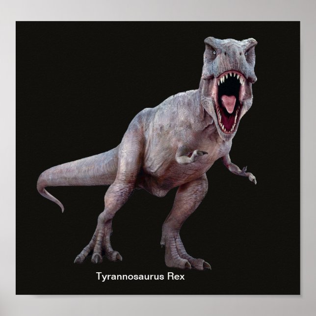 Imagem T-Rex para Poster (Frente)