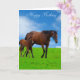 Imagens de Cavalo para cartão de saudação (Orchid)