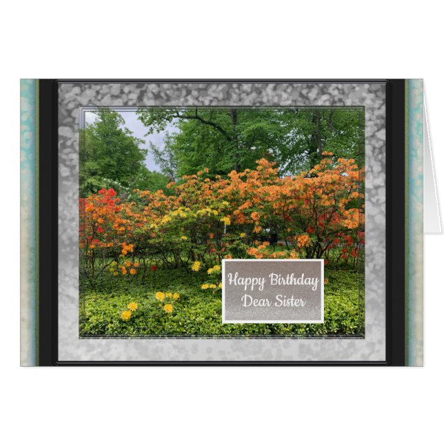 Imagens Fotográficas para Cartão de Aniversário Ir (Frente Horizontal)