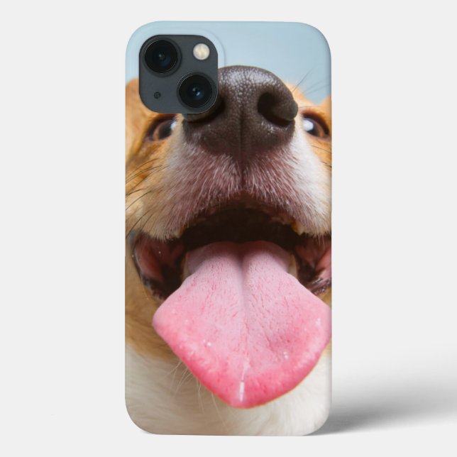 Imagens Getty | Corgi muito feliz (Verso)