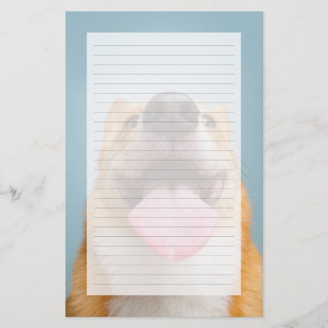 Imagens Getty | Corgi muito feliz (Frente)