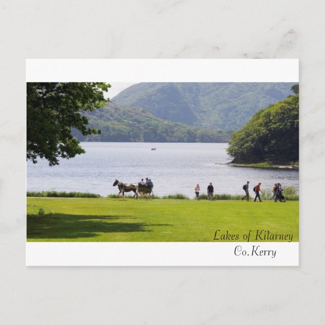 Imagens irlandesas para cartão postal (Frente)