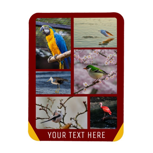 Imagens personalizadas, com 5 imagens e ímã de fot (Vertical)