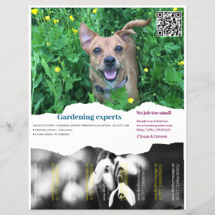 Imagens quadradas de Rasgos do Flyer Gardening