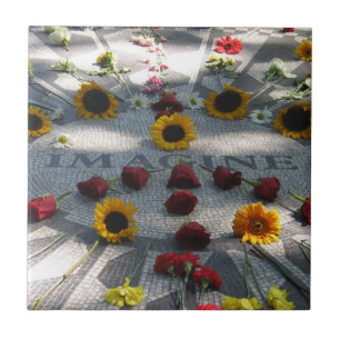 IMAGINE Mosaico, Campos de Morango, NY -