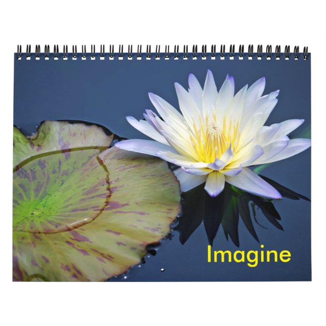 Imagine o calendário dos lírios (Capa)