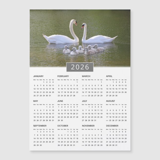 Íman Calendar 2026 Swan & Cygnets (Frente)
