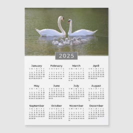 Íman e Cygnets 2025 Calendar