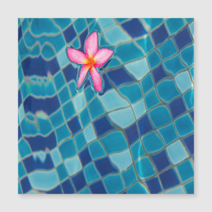 Íman flutuante cor-de-rosa azul da piscina