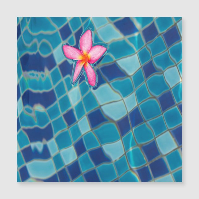Íman flutuante cor-de-rosa azul da piscina (Frente)
