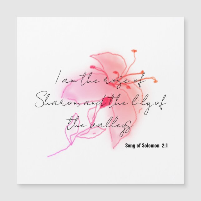 íman lírio cor-de-rosa (Frente)