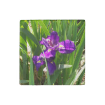 Ímã de Flor de Mármore Decorativo Preparado
