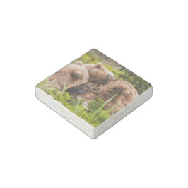 Ímãs Flexisíveis Mamãe urso cuidando de seus dois filhotes, Lago Cl