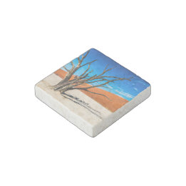 Ímãs Flexisíveis Morto em Deadvlei, Namíbia