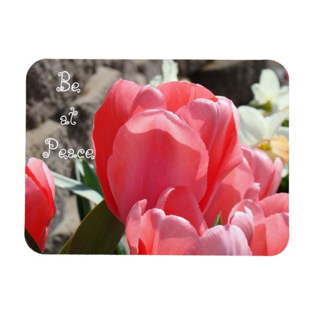 Ímãs Jardim de Flores Tulipa Primavera Esteja em P (Horizontal)