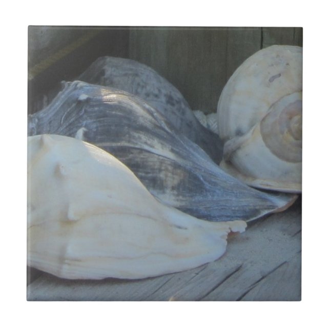 IMG_1498 (3) .jpg (Frente)