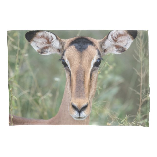 Impala Portrait (Frente)
