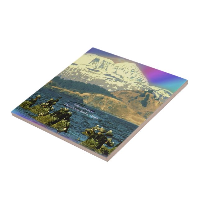 Imperador Geese na Baía de Chiniak perto de Chinia (Lateral)